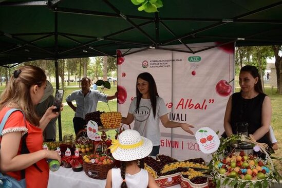 Azərbaycanda ilk dəfə "Albalı və gilas" festivalı keçirilib - FOTO