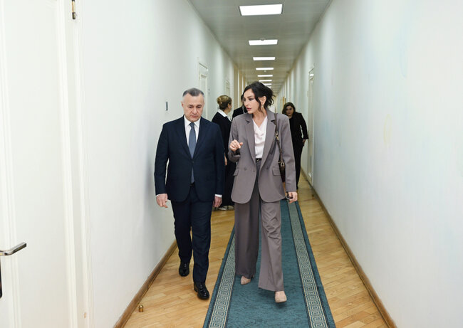 Mehriban Əliyeva qızı ilə körpələr evində - Fotolar