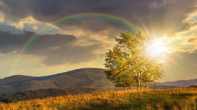 Sabah 37 dərəcə isti olacaq - PROQNOZ