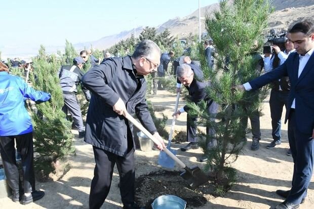 Mövsümlə əlaqədar paytaxtda növbəti ağacəkmə aksiyası keçirildi - FOTO