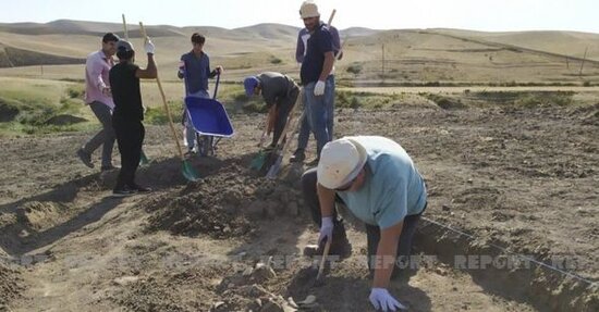 Cəlilabadda qədim məzarlıq aşkarlanıb - FOTO
