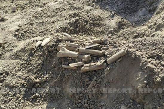 Cəlilabadda qədim məzarlıq aşkarlanıb - FOTO