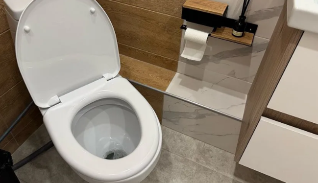 Tualetin qapağını açıq qoymayın: Bunu birdəfəlik xatırlamalısınız