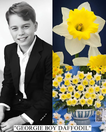 Bu güllərə onların adları verildi - Fotolar