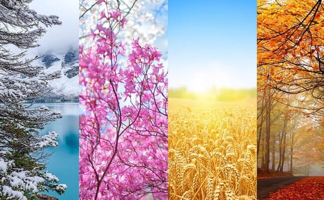 2024-cü ildə fəsillər Azərbaycana bu tarixlərdə daxil olacaq