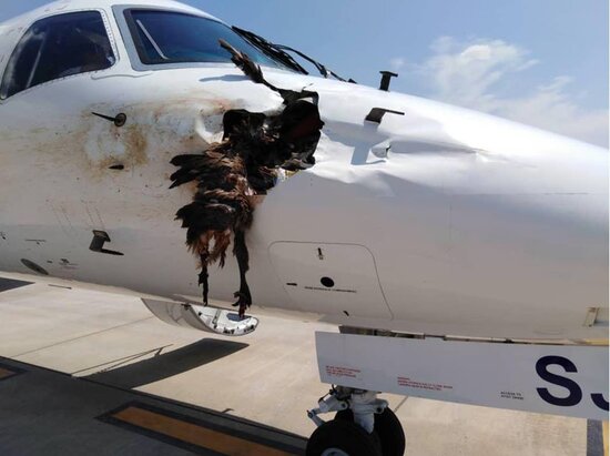 Təyyarələrin toqquşma anı-VİDEO