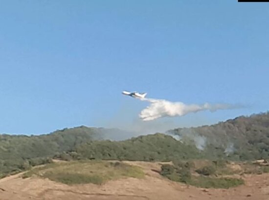 "Qalaaltı" yaxınlığındakı meşə yanğınları söndürülüb - FOTO