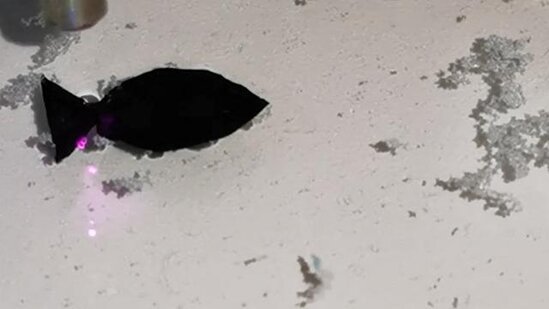 Plastik yeyən robot balıq ixtira olundu