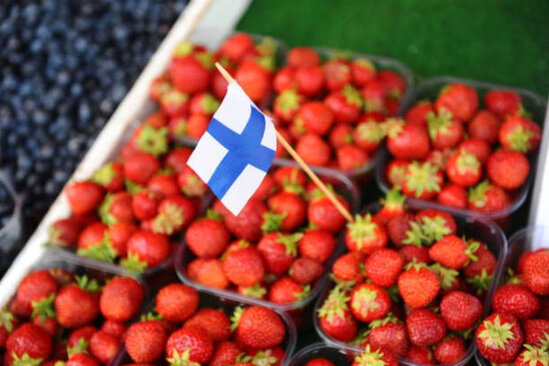 Finlandiyada Rusiya məhsulları piştaxtalardan yığışdırılır