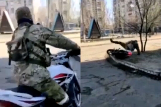 "TikTok"la məşğul olan kadırovçular - VİDEO