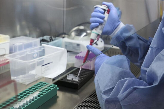 Sirli hepatit xəstəliyi yayılır