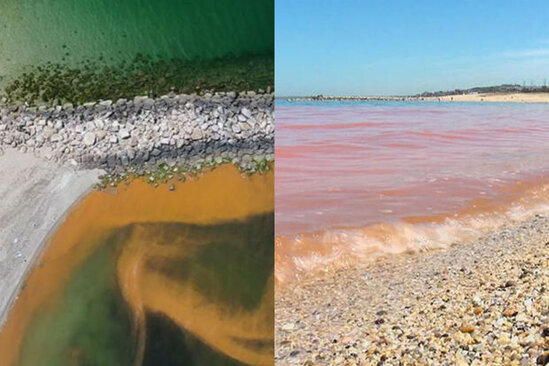 Qara dənizdə qorxu yaradan rəng dəyişimi - VİDEO