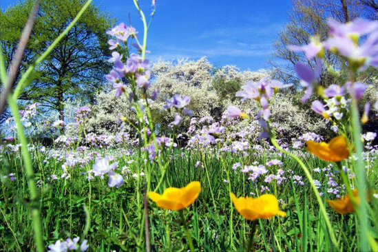 Sabah 37 dərəcə isti olacaq