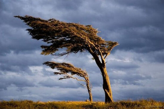 Sabah güclü külək əsəcək