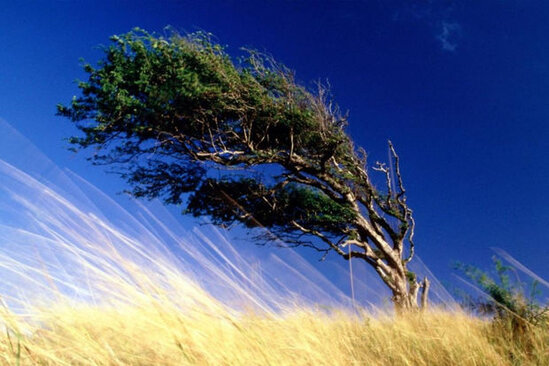 Sabahın hava proqnozu AÇIQLANDI
