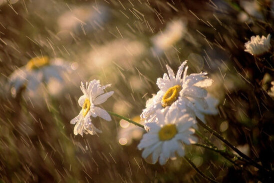 Sabahın hava proqnozu AÇIQLANDI