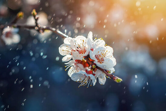 Sabah yağış yağacaq