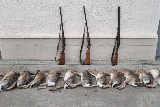 Saatlıda dovşan ovlayanlar TUTULDULAR