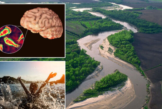 ABŞ-də "beyin yeyən amöb" can aldı - FOTO