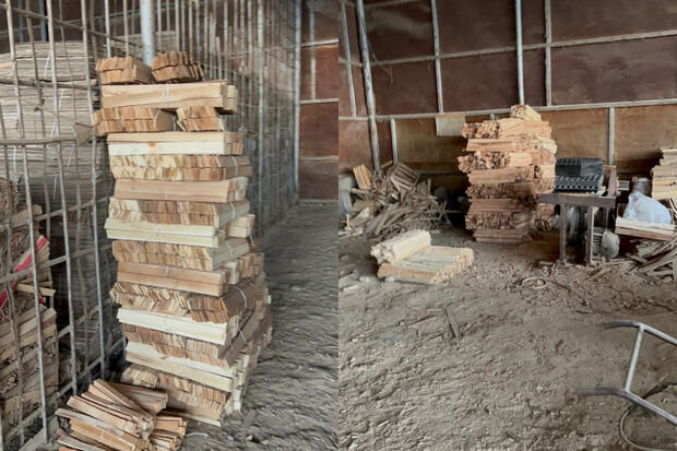 Şəmkirdə sexdə mənbəyi məlum olmayan içlik ağac materialları aşkarlanıb - VİDEO