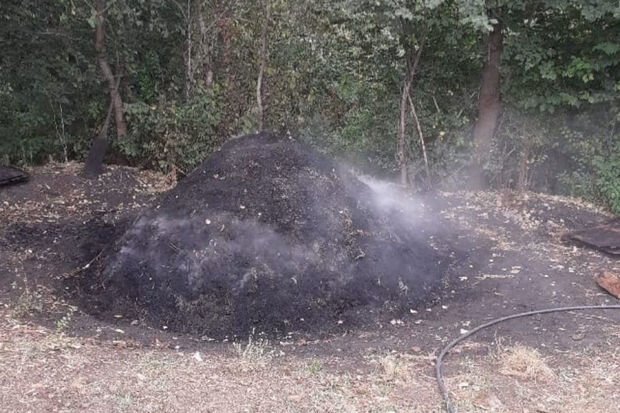 Lerikdə qanunsuz kömür quyusu aşkarlanıb
