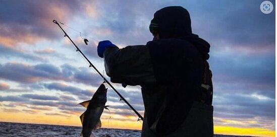 Qanunsuz balıq ovu ilə məşğul olan şəxslər saxlanılıb