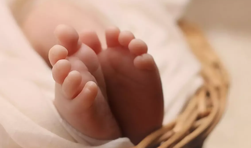 Gənənin dişlədiyi uşaq həyatını itirib