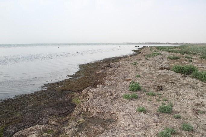 Azərbaycanın bu ərazisində dəniz - 2 km geri çəkilib