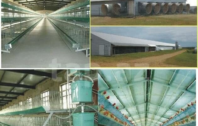 "Giləzi" quşçuluq saxta məhsullarla insanları necə aldadır? - ARAŞDIRMA - FOTOLAR