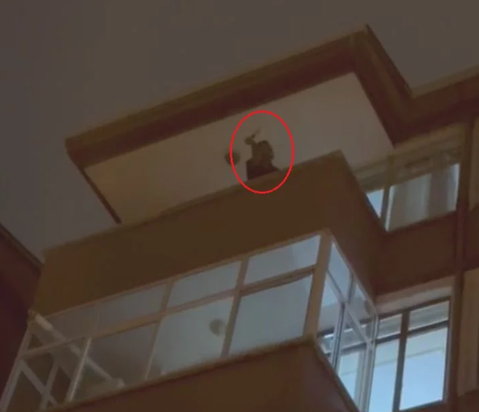 Ailəsini girov götürən psixoloji problemli şəxs zərərsizləşdirilib