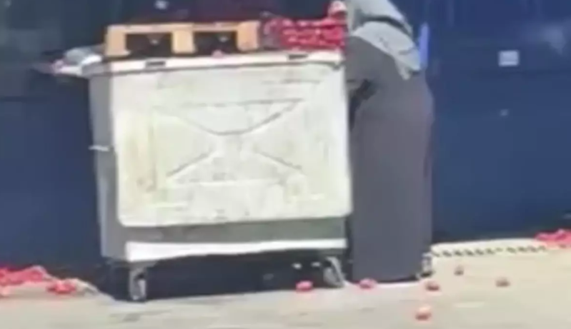 Market işçiləri pomidor qutularını niyə zibil qablarına atıb? - VIDEO