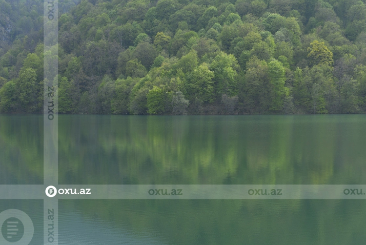 Göygöldə gənc özünü kanala ataraq intihar edib