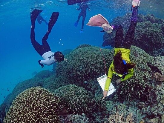 Məhv olmaq üzrə olan ərazi üçün milyard dollar ayırdılar - FOTO