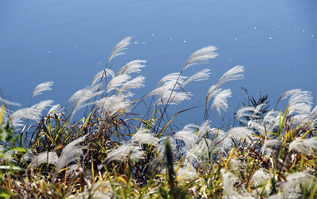 Güclü külək əsəcək - Xəbərdarlıq