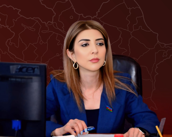 "Azərbaycan torpaqlarında heç bir təxribat, silahlı müqavimət və qanunsuzluq cəhdinə göz yumulmayacaq" - DEPUTAT