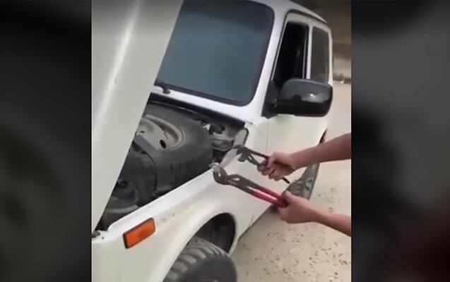 Maşının motorxanasından gürzə ilanı çıxdı - Video