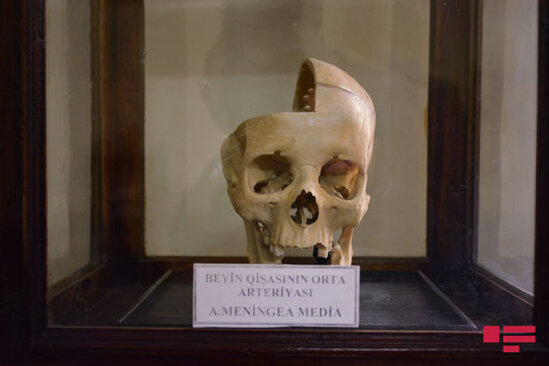 Alim: "Tək yaralı yerimiz meyit azlığıdır" - FOTO