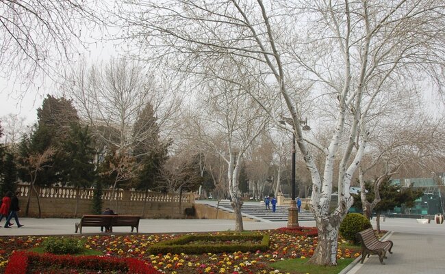 Sabah 8 dərəcə şaxta olacaq