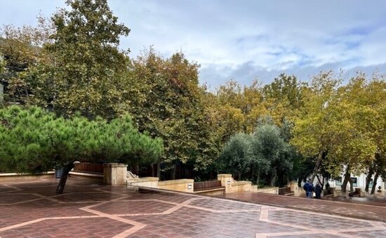 İstirahət gününün havası açıqlandı