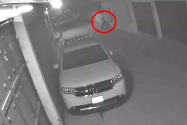 Təhlükəsizlik kamerasına düşən at və atlı böyük panikaya səbəb olub - VİDEO