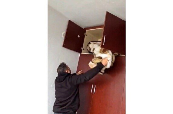 49 fərqli cinayətinə görə axtarılan şəxs görün haradan tapıldı - VİDEO