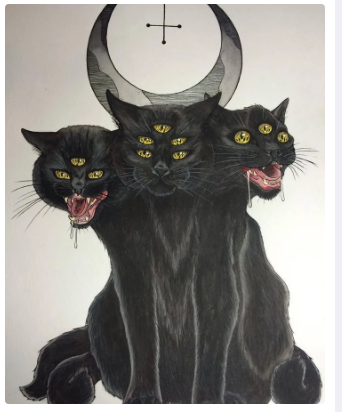 "Pişiyin 9 canı var" ifadəsi doğrudur? - Belə Yaranıb