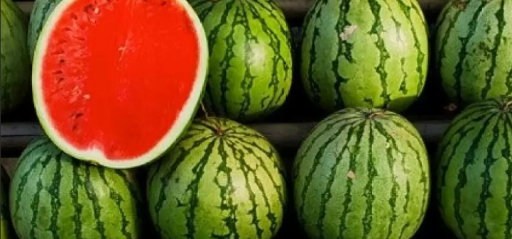 Bir ailənin üç üzvü qarpızdan zəhərləndi