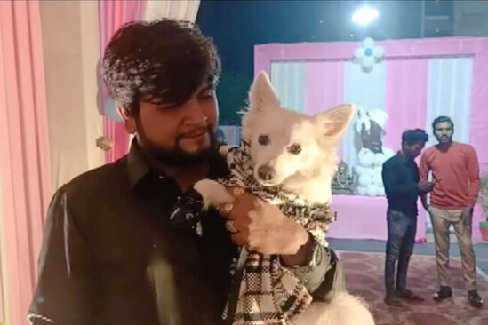 Polis itinə ad günü keçirənlərin kefinə soğan doğradı