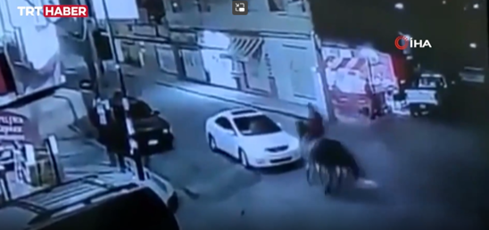 Meksikada atlı şəxs avtomobillə toqquşdu-VİDEO