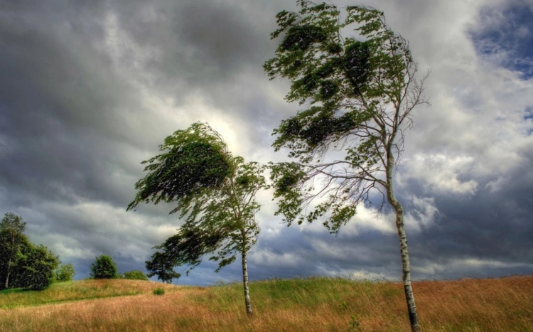 Bakıda və Abşeron yarımadasında narıncı xəbərdarlıq edilib