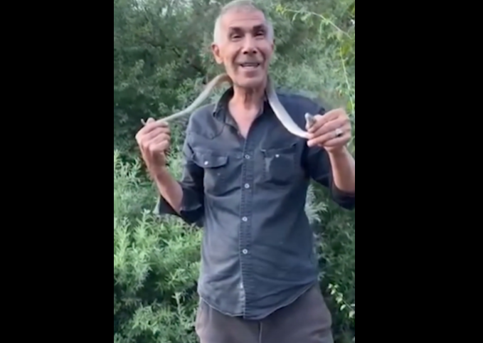Zəhərli gürzəni əli ilə tutub boynuna doladı - VİDEO