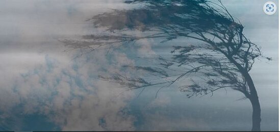 Sabah güclü külək əsəcək