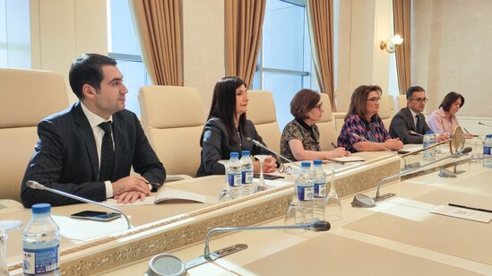 Milli məclisdə İran İslam Respublikası İslam Şurası Məclisinin deputatları ilə görüş keçirilib