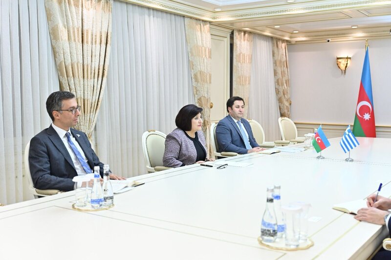 Milli Məclisin sədri beş ölkənin səfiri ilə görüşüb